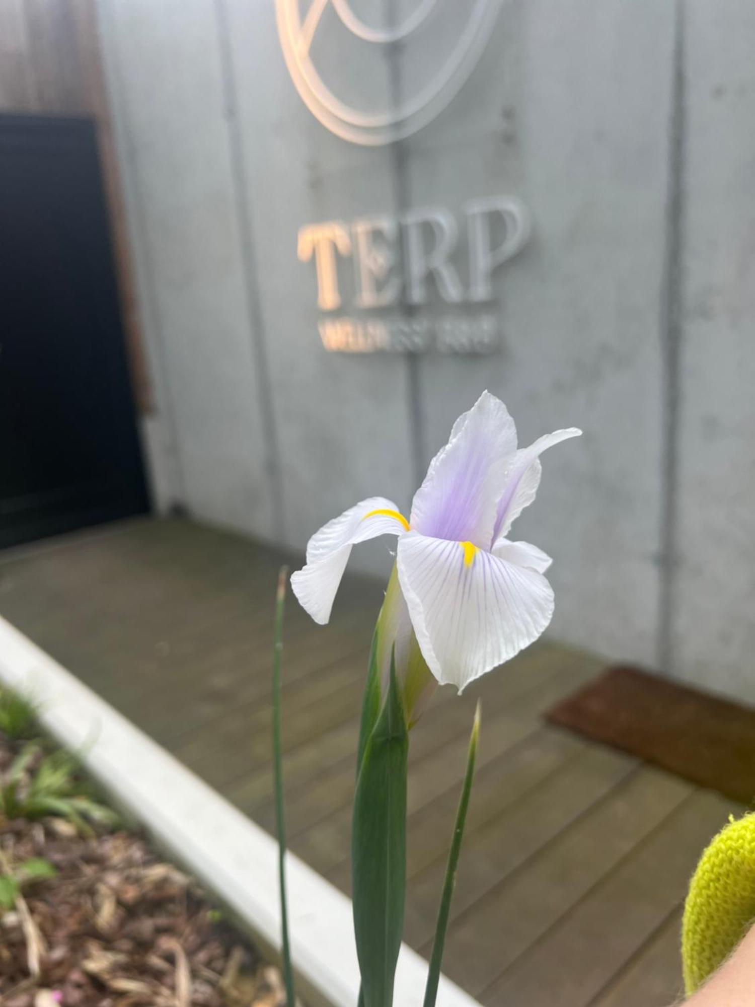 Terp Panzió Poperinge Kültér fotó