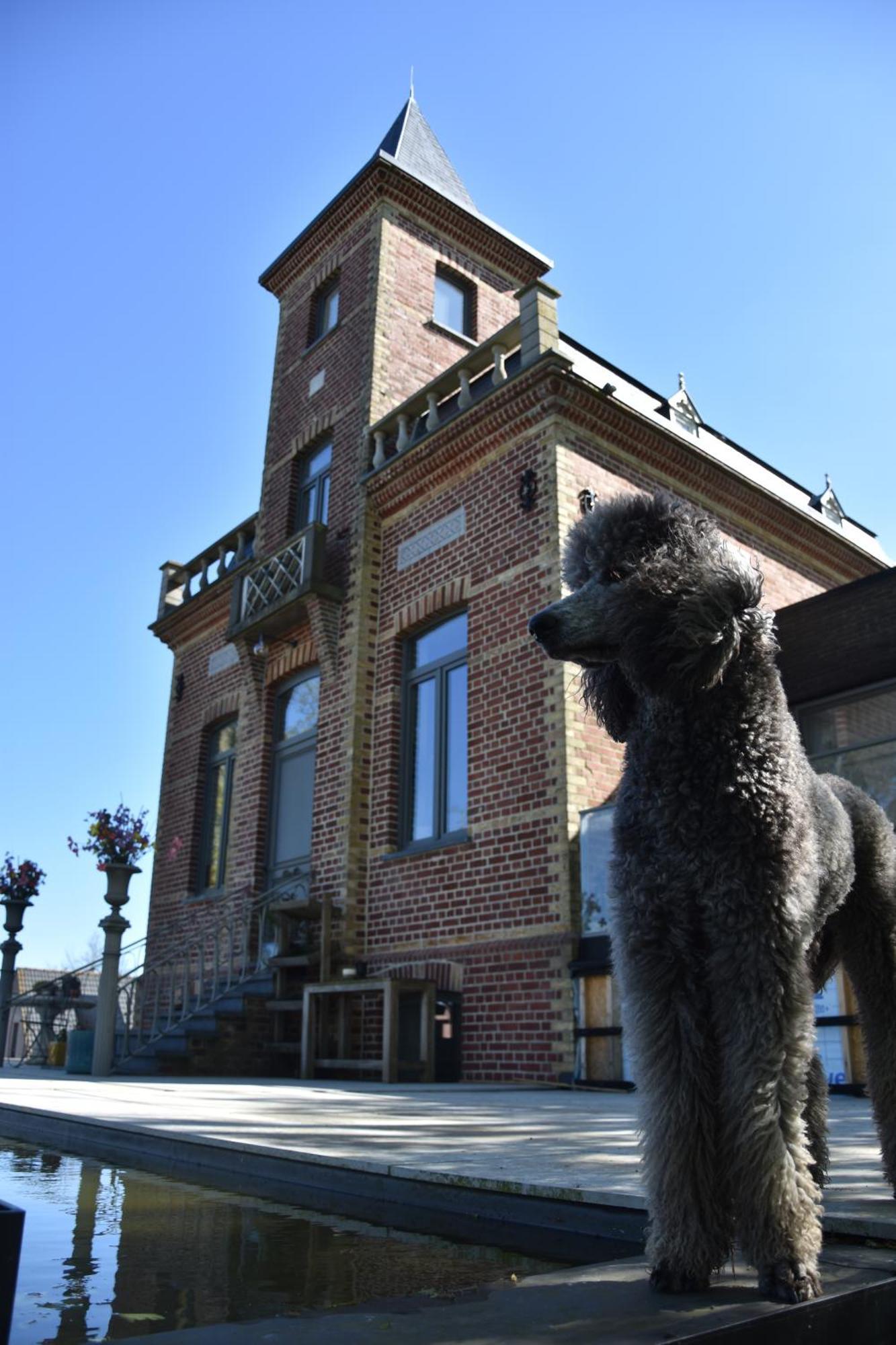 Terp Panzió Poperinge Kültér fotó